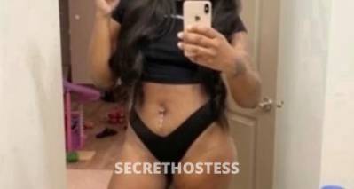 Amber 23Yrs Old Escort Tuscaloosa AL Image - 2