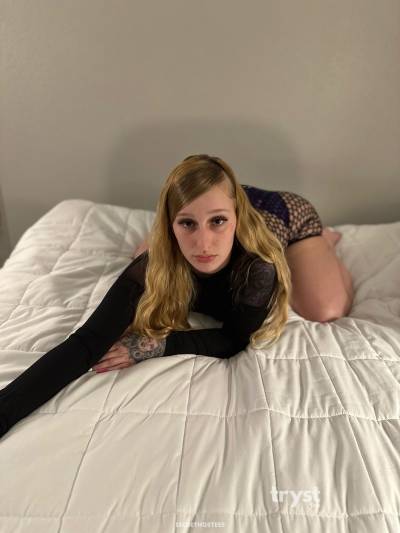 20Yrs Old Escort 167CM Tall Houston TX Image - 1