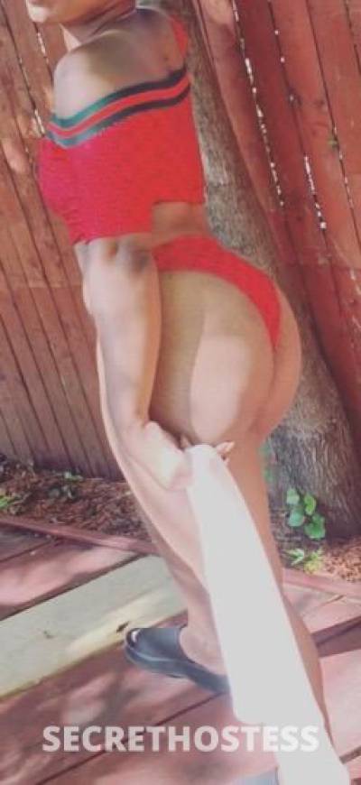 26Yrs Old Escort North Jersey NJ Image - 1