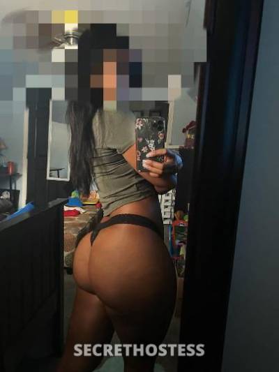 28Yrs Old Escort Bronx NY Image - 0