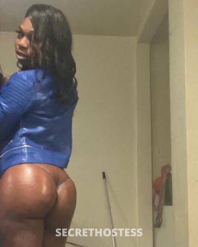 29Yrs Old Escort Oakland CA Image - 1