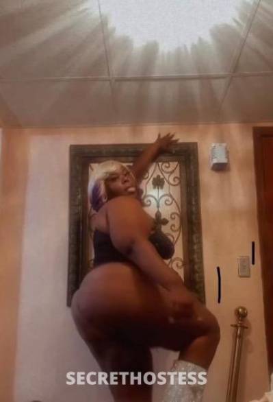 Nikki Stacks 26Yrs Old Escort 167CM Tall Cleveland OH Image - 2