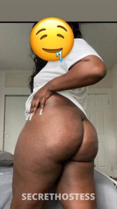 26Yrs Old Escort Tampa FL Image - 1