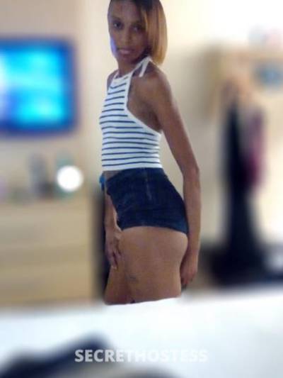 28Yrs Old Escort West Palm Beach FL Image - 1