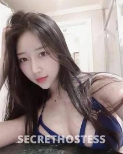 Anna 25Yrs Old Escort Size 6 Brisbane Image - 4