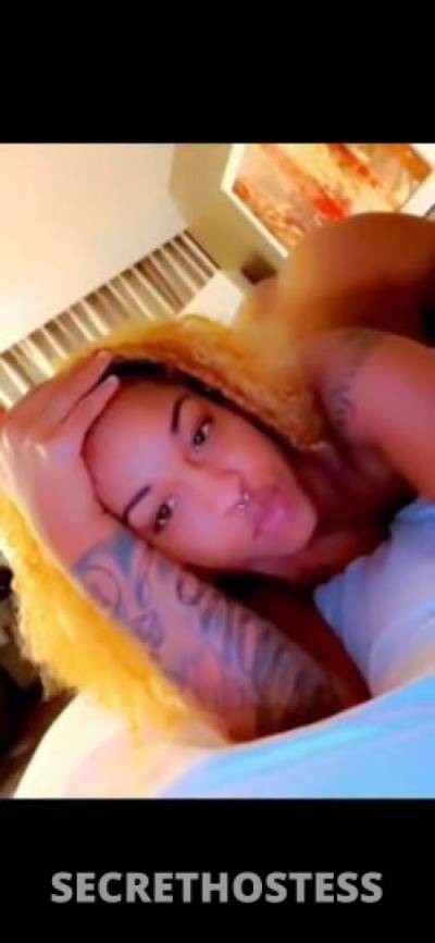 Kamille 22Yrs Old Escort Shreveport LA Image - 1