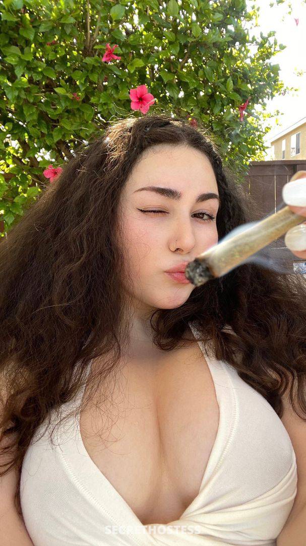 kalyn rae 23Yrs Old Escort Size 10 167CM Tall Santa Rosa CA Image - 2