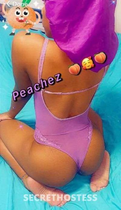 21Yrs Old Escort Bronx NY Image - 1