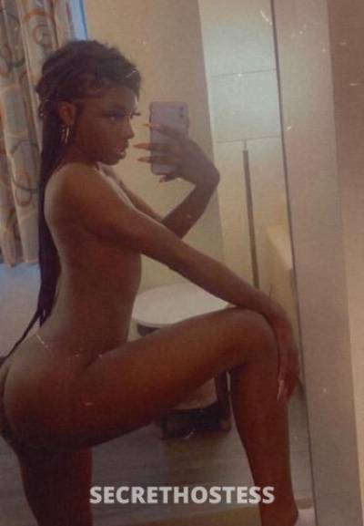 23Yrs Old Escort Bronx NY Image - 2