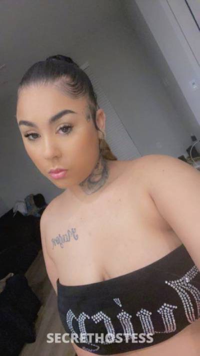 23 year old German Escort in Washington D.C. DC ???THICK Body??? DARK HAIR