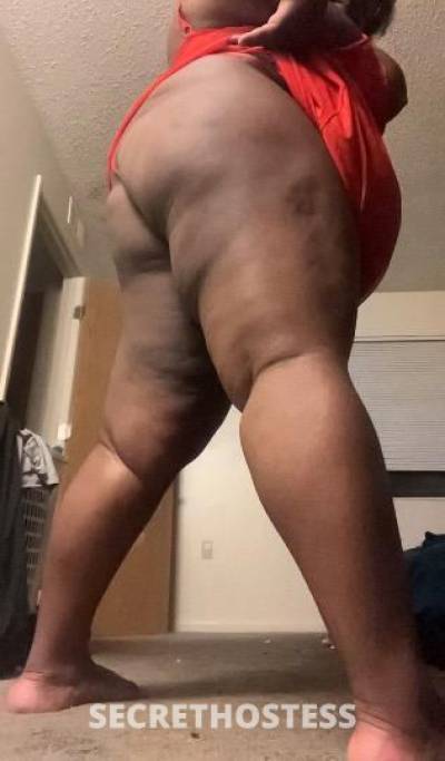 24Yrs Old Escort Dayton OH Image - 1