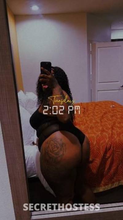 24Yrs Old Escort Houston TX Image - 1