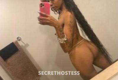 26Yrs Old Escort Bronx NY Image - 3