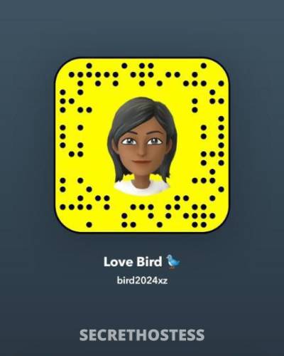 26 year old Escort in Buffalo NY No Law Gfe Friendly I need regular also super sexy beauty 