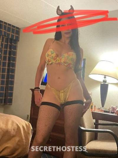 28Yrs Old Escort Long Island NY Image - 1