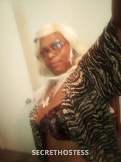 33 year old Escort in Birmingham AL satisfaction guaranteed I give you what you need