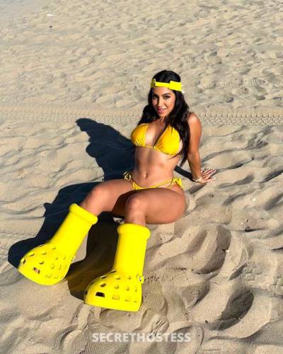 Laura Rose 25Yrs Old Escort 167CM Tall Tampa FL Image - 6