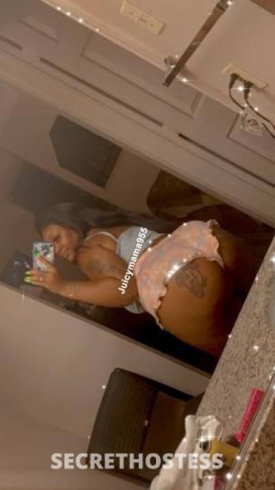 23Yrs Old Escort Dallas TX Image - 1