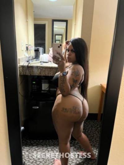 23Yrs Old Escort Dallas TX Image - 1