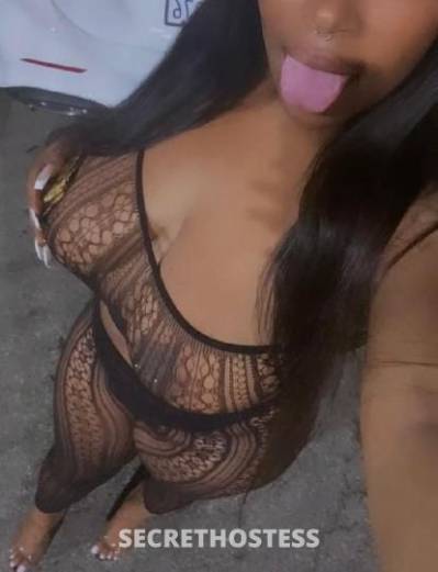 23Yrs Old Escort Detroit MI Image - 2