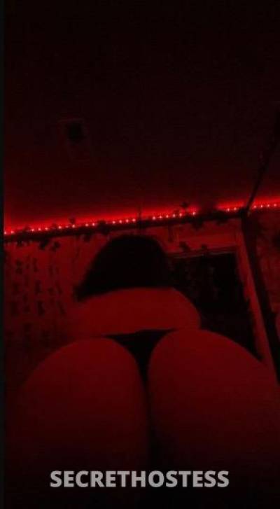 23Yrs Old Escort Sarasota FL Image - 1