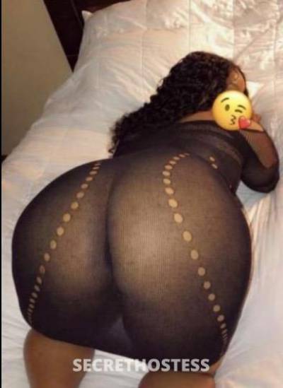 24Yrs Old Escort Chicago IL Image - 1