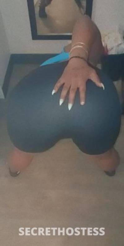 24Yrs Old Escort Jacksonville FL Image - 0