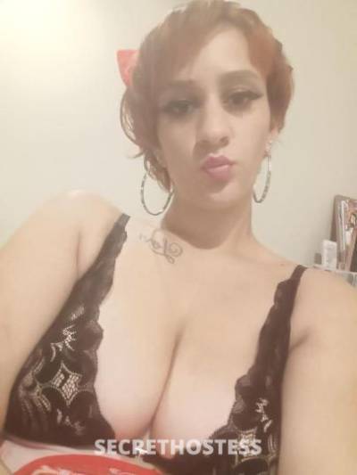 24Yrs Old Escort Tampa FL Image - 0