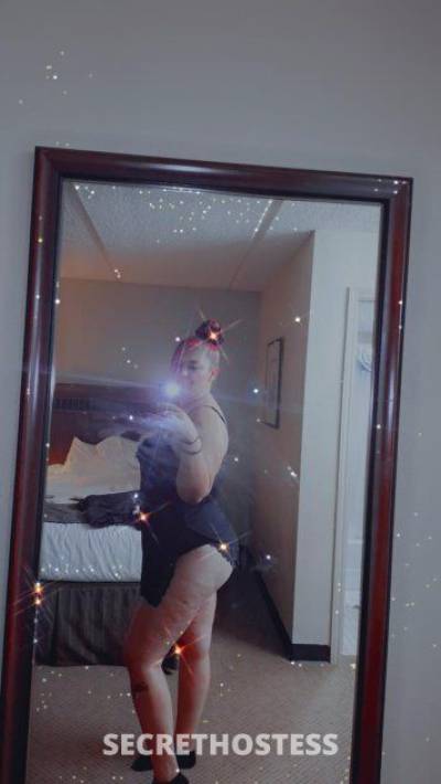 25Yrs Old Escort 172CM Tall Dallas TX Image - 3