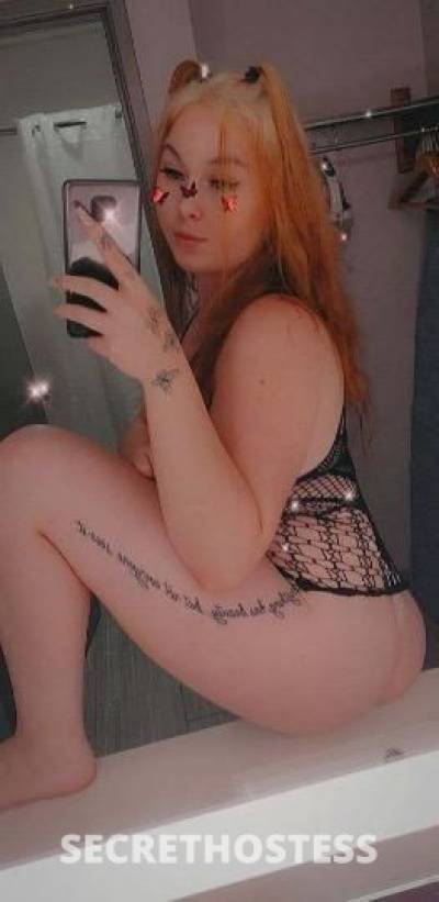 28Yrs Old Escort Tampa FL Image - 2