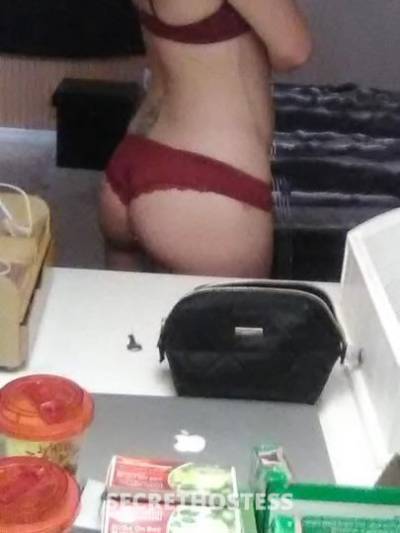 28Yrs Old Escort Tampa FL Image - 2