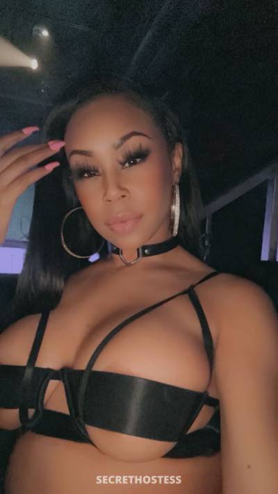 0 year old Escort in Dallas TX Ferrari