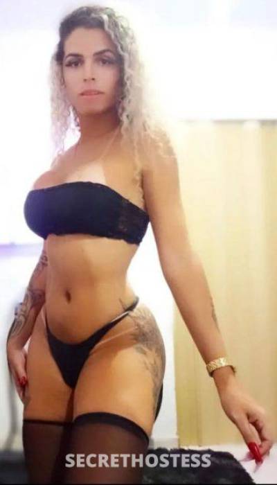 23Yrs Old Escort Charlotte NC Image - 2