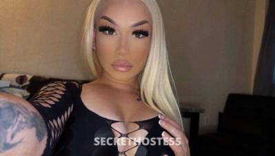 24 Year Old Escort Austin TX Blonde - Image 5