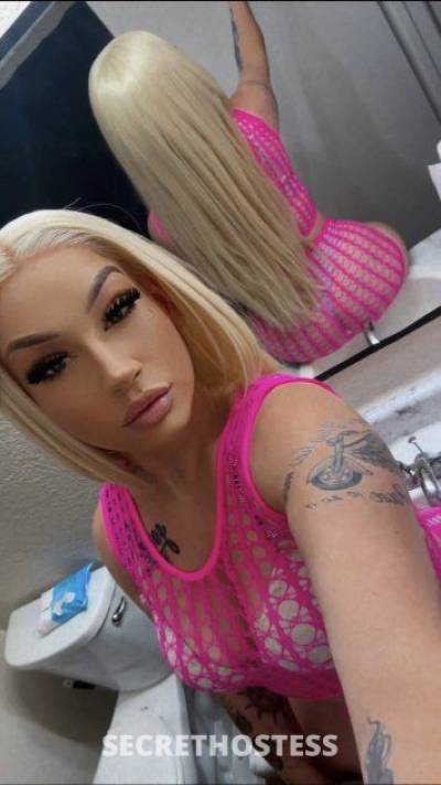 24 Year Old Escort Austin TX Blonde - Image 6