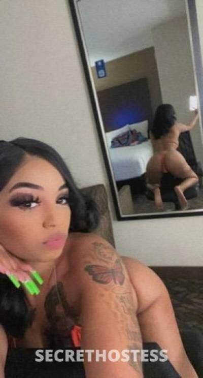 25Yrs Old Escort Bronx NY Image - 2