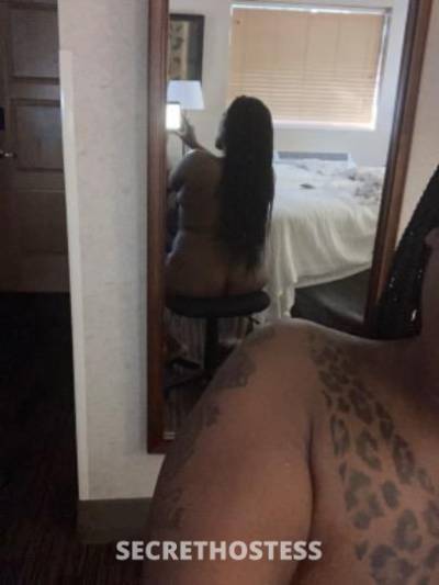 27Yrs Old Escort Minneapolis MN Image - 0