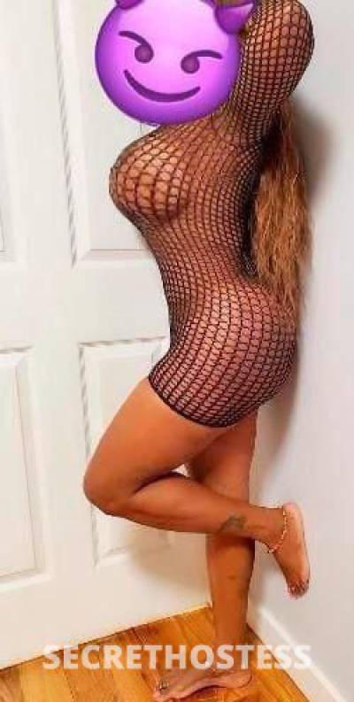 29Yrs Old Escort Long Island NY Image - 3