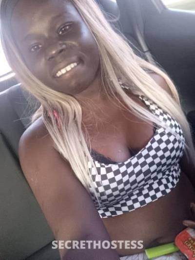 23Yrs Old Escort Orlando FL Image - 0