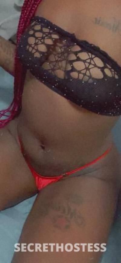 23Yrs Old Escort Tampa FL Image - 0