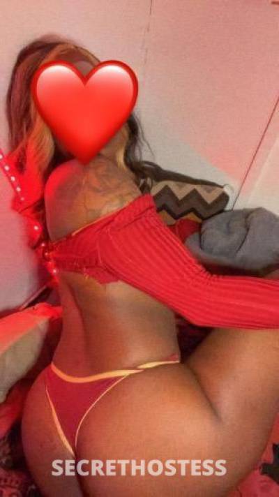 24Yrs Old Escort Tampa FL Image - 0