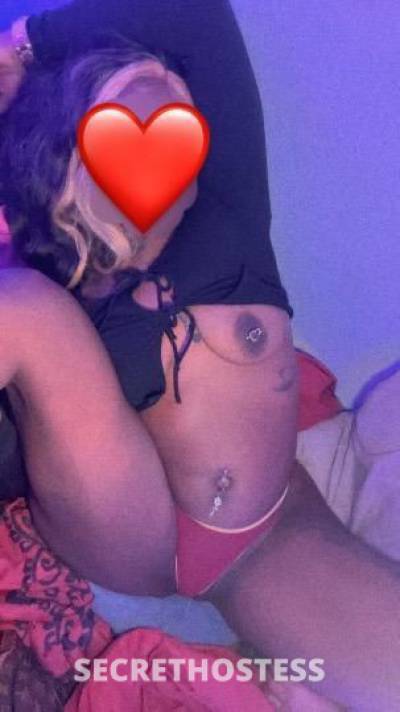 24Yrs Old Escort Tampa FL Image - 1