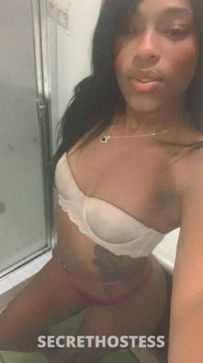 26Yrs Old Escort Miami FL Image - 1