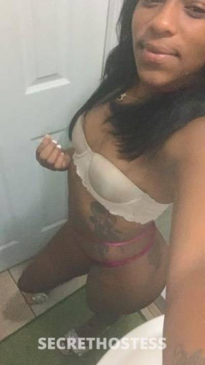 26Yrs Old Escort Miami FL Image - 2