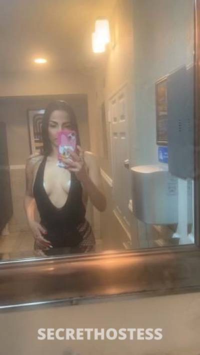 27Yrs Old Escort Tampa FL Image - 0