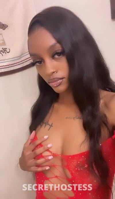 Majesty 21Yrs Old Escort Houston TX Image - 0