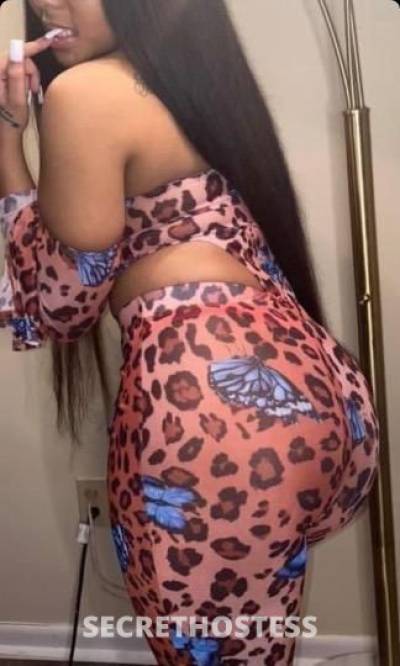 22Yrs Old Escort Los Angeles CA Image - 2