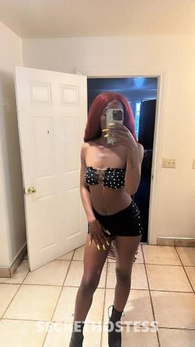 22Yrs Old Escort Sacramento CA Image - 3