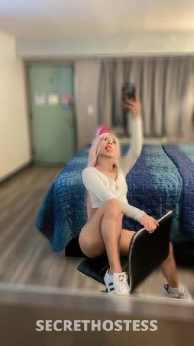 24Yrs Old Escort Bronx NY Image - 3