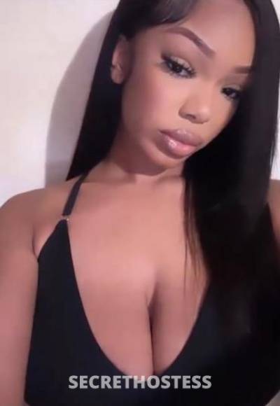 25 year old Escort in San Francisco CA your busty girl next door